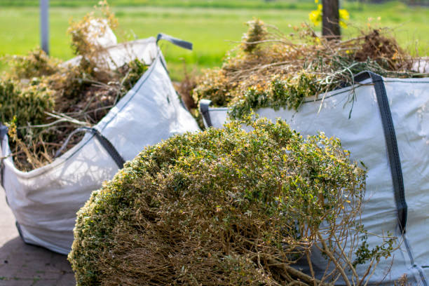 Best Full-Service Junk Removal  in Melrose, MN